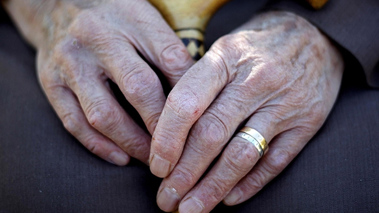 Memur ve emekli ne kadar maaş zammı alacak? 4 aylık zam farkı belli oldu Memur ve emekli ne kadar maaş zammı alacak? 4 aylık zam farkı belli oldu