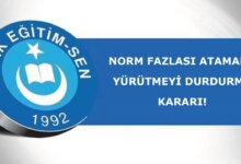 Norm Fazlası Atamada Yürütmeyi Durdurma Kararı Alındı