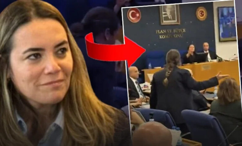 DEM’li vekilin sözleri Türkeş’in kızını rahatsız etti