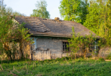 İtalya’da Ormanda Yaşayan Ailenin Çocukları Mahkeme