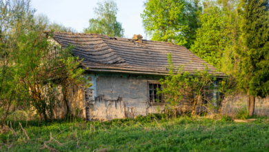 İtalya’da Ormanda Yaşayan Ailenin Çocukları Mahkeme