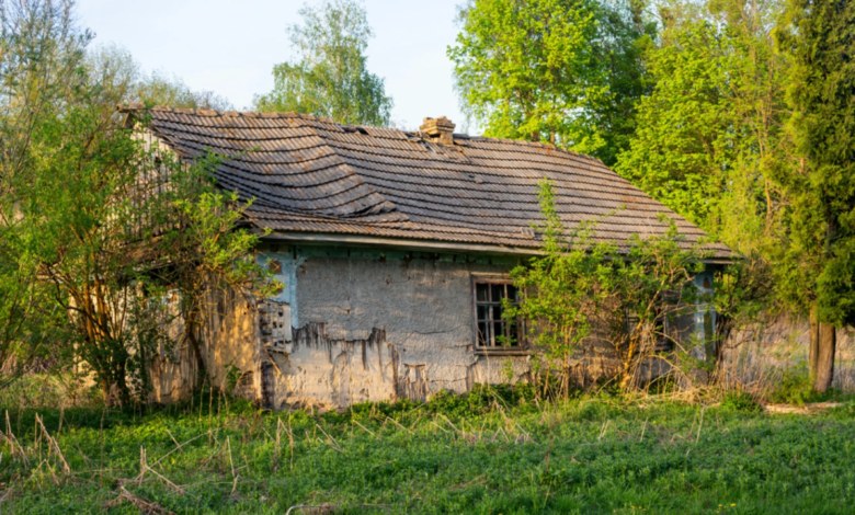 İtalya’da Ormanda Yaşayan Ailenin Çocukları Mahkeme
