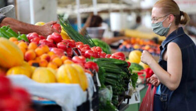 Limon kabukları ile örümceklerden korunma yöntemi