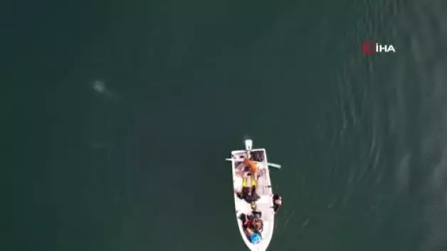 Sapanca Gölü’ndeki endişelendiren kabarcıklar su altından ve havadan görüntülendi Sapanca Gölü’ndeki endişelendiren kabarcıklar su altından ve havadan görüntülendi