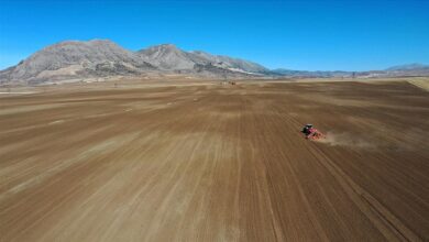 FAO Türkiye’ye 8,1 Milyon Dolar Destek Sağladı