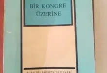 Bir Halt Üzerine – Salih BORA İncelemesi