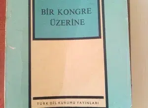 Bir Halt Üzerine – Salih BORA İncelemesi