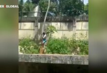 Brezilya’da Hayvanat Bahçesinde Genç Adamın Ölümü