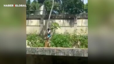 Brezilya’da Hayvanat Bahçesinde Genç Adamın Ölümü