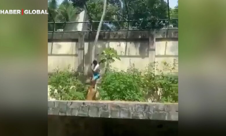 Brezilya’da Hayvanat Bahçesinde Genç Adamın Ölümü