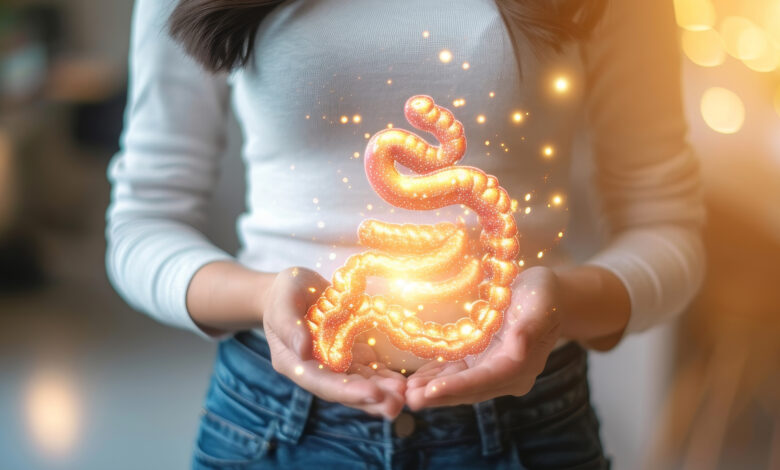 Kortizol Stresinin Bağırsak Florasına Etkileri