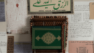 HBO Max, Palu Ailesi Belgeselini Duyurdu