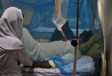 Sıtma Vaka Sayısı 282 Milyona Ulaştı, 610 Bin Ölü Kaydedildi