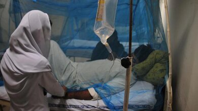 Sıtma Vaka Sayısı 282 Milyona Ulaştı, 610 Bin Ölü Kaydedildi