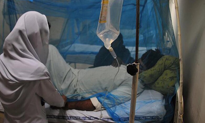 Sıtma Vaka Sayısı 282 Milyona Ulaştı, 610 Bin Ölü Kaydedildi