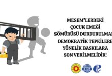 Eğitim Sen’den MESEM’lerdeki Çocuk Emeği Uyarısı