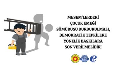 Eğitim Sen’den MESEM’lerdeki Çocuk Emeği Uyarısı