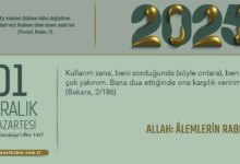 Allah: Âlemlerin Rabbi ve Yaratıcısı Hakkında Bilgiler