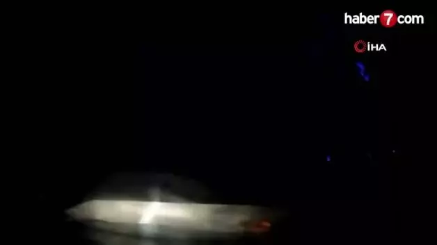 Tokat’ta otomobil sürüye çarptı: 12 koyun telef oldu