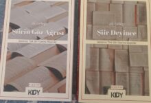 Şiir Eleştirisi Üzerine İki Önemli Eser İnceleniyor